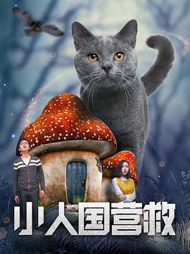 少妇88av