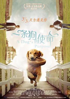 欧美经典成人在观看线视频